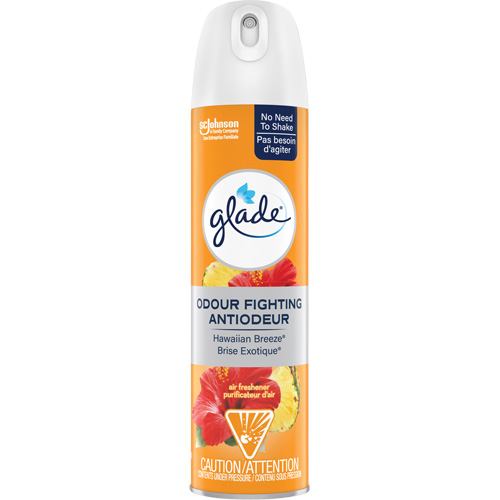 Assainisseur dair, Brise exotique, Canette a&eacute;rosol Dufferin Supply