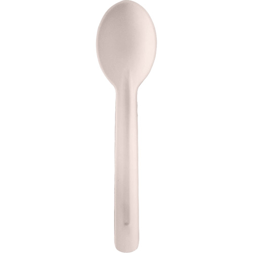 Bagasse Compostable Spoons Dufferin Supply