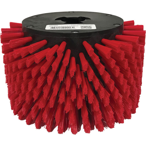 Brosse de nettoyage Red Stair Dufferin Supply