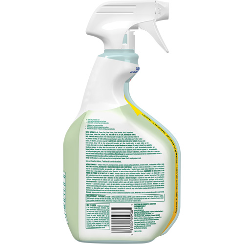CloroxPro Clorox EcoClean Disinfecting Cleaner, 946 ml, Trigger Bottle Dufferin Supply