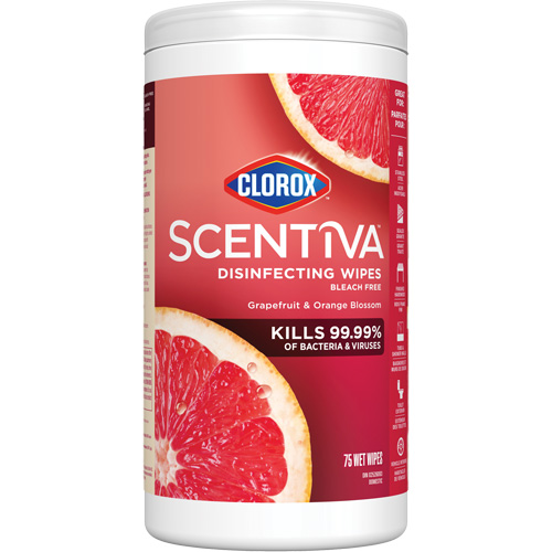 Disinfecting Wipes, 75 Count Dufferin Supply