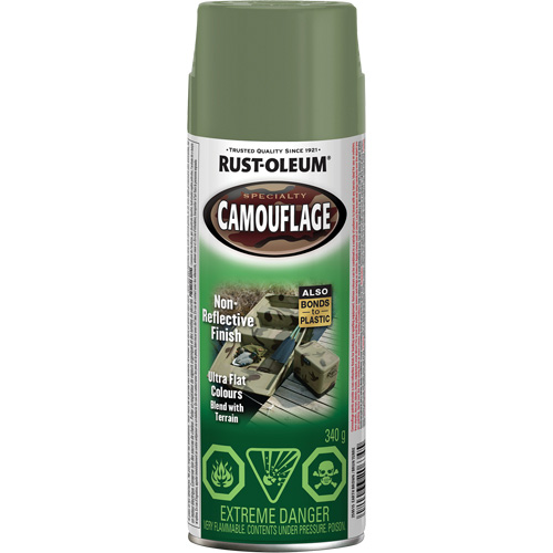 Peinture de camouflage Sp&eacute;cialit&eacute;, Canette a&eacute;rosol, Brun terre Dufferin Supply