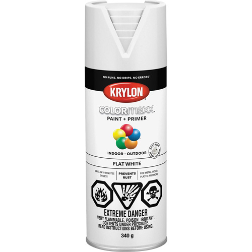 Appr&ecirc;t + peinture COLORmaxx, Blanc, Tr&egrave;s mat, 12 oz, Canette a&eacute;rosol Dufferin Supply