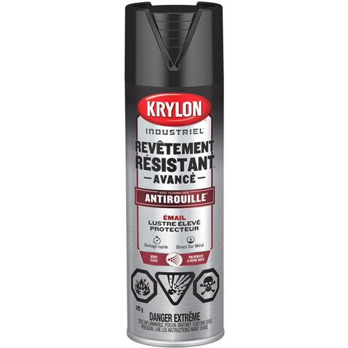 Peinture Tough Coat avec technologie Rust Barrier, Noir, Tr&egrave;s brillant, 425 g, Canette a&eacute;rosol Dufferin Supply