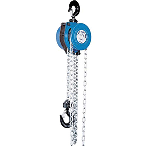 Tralift&reg; Manual Chain Hoist, 10' Lift, 4000 lbs. (2 tons) Capacity, Grade 80 Chain Dufferin Supply