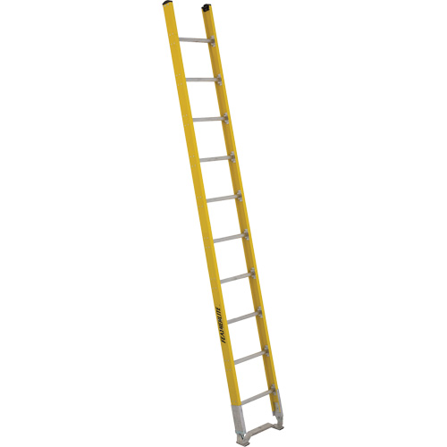Single Section Straight Ladder - 6100 Series, 10', Fibreglass, 375 lbs., CSA Grade 1AA Dufferin Supply