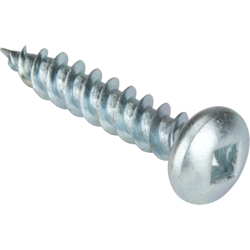 Vis taraudeuse &agrave; t&ecirc;te cylindrique, #10 x 1-1/4" lo, Zingu&eacute; Dufferin Supply