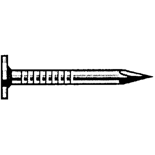 Clous de toiture brillants, t&ecirc;te 7/16" Dufferin Supply