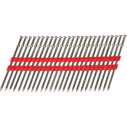 16D Collated Duplex Nails Dufferin Supply