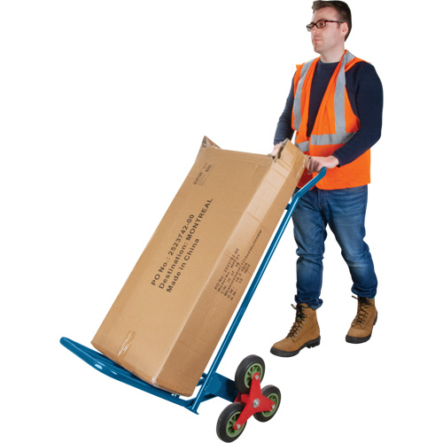 Diable monte-marches, Cadre en Acier, 23-3/4" la x 45-5/8" h, Capacit&eacute; de 300 lb Dufferin Supply