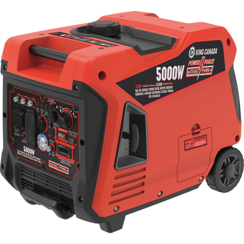 Dual Fuel Gasoline/Propane Inverter Generator Dufferin Supply