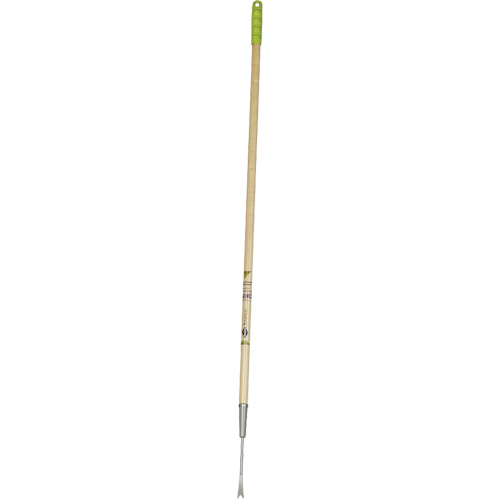 Arrache pissenlits Dufferin Supply