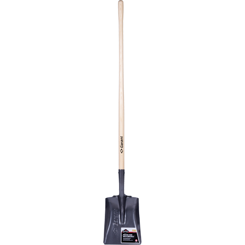 Pro Square Point Shovel, Wood, Tempered Steel Blade, Straight Handle, 48" Long Dufferin Supply