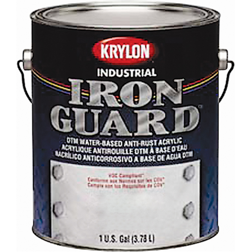 Industrial Iron Guard&reg; Water-Based Enamel, Can, Grey Dufferin Supply
