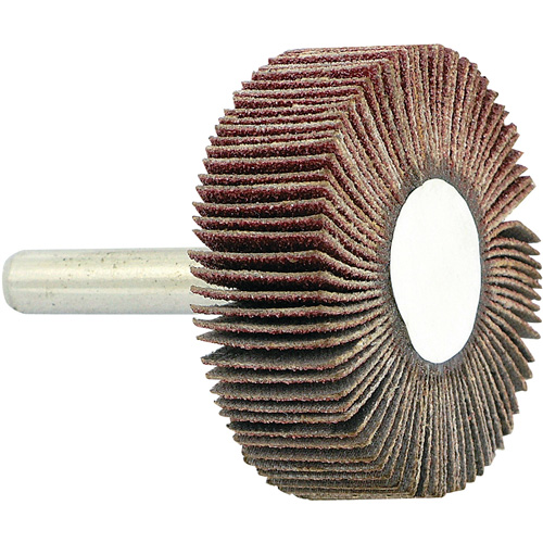 Disque &agrave; lamelles mont&eacute; sur mandrin, Grain 80, 1-1/2" x 1/2" x 1/4" Dufferin Supply