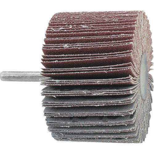 Disque &agrave; lamelles mont&eacute;, Grain 60, 3" x 1" x 1/4" Dufferin Supply