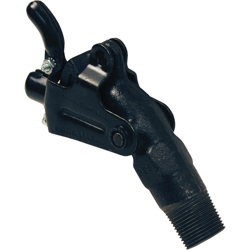 Robinet-vanne pour baril, Fonte, NPT 2" Dufferin Supply
