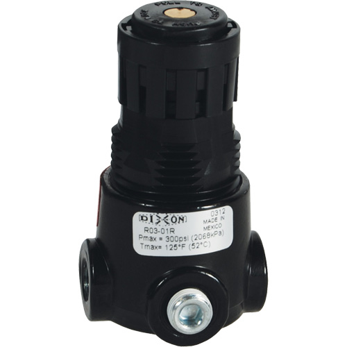 Wilkerson Miniature Regulator R03, 1/4" NPT, 300 psi Max. PSI, Standard Dufferin Supply