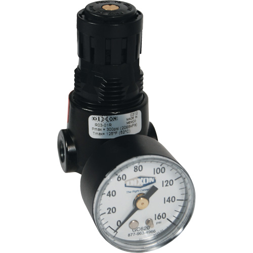 Wilkerson Miniature Regulator R04, 1/4" NPT, 300 psi Max. PSI, Standard Dufferin Supply