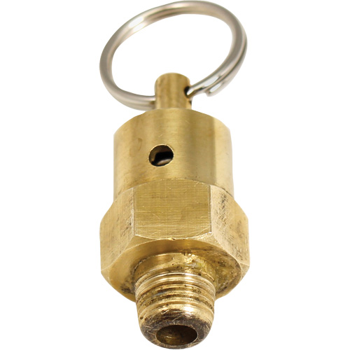 Viton&reg; Pressure Relief Valve Dufferin Supply