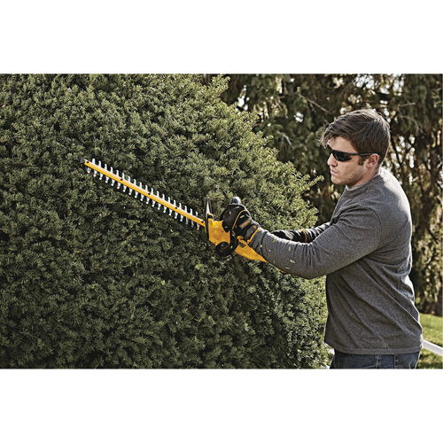 Taille-haie MAX*, 22", 20 V, &agrave; pile Dufferin Supply