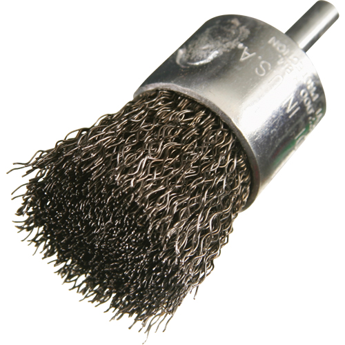 Brosses mont&eacute;es &agrave; fils cr&ecirc;p&eacute;s, 1", Fils 0,014", Tige 1/4" Dufferin Supply