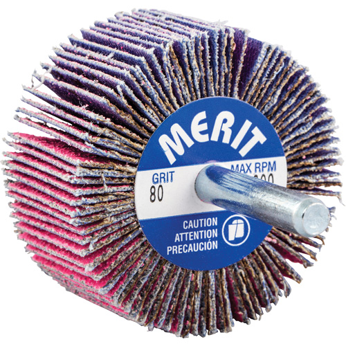 Mini-meule &agrave; lamelles mont&eacute;e sur tige, C&eacute;ramique d'alumine, Grain 80, 2" x 1" x 1/4" Dufferin Supply