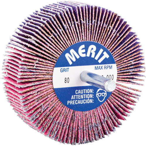 Mini-meule &agrave; lamelles mont&eacute;e sur tige, C&eacute;ramique d'alumine, Grain 80, 3" x 1" x 1/4" Dufferin Supply