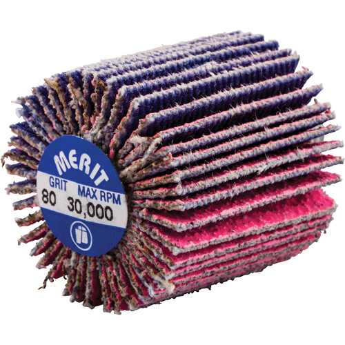Mini-meule &agrave; lamelles filet&eacute;es, C&eacute;ramique d'alumine, Grain 80, 1" x 1" x 1/4"-20 Dufferin Supply