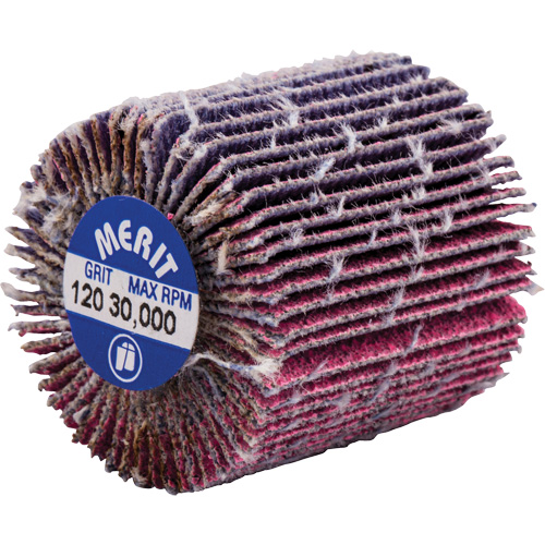 Mini-meule &agrave; lamelles filet&eacute;es, C&eacute;ramique d'alumine, Grain 120, 1" x 1" x 1/4"-20 Dufferin Supply