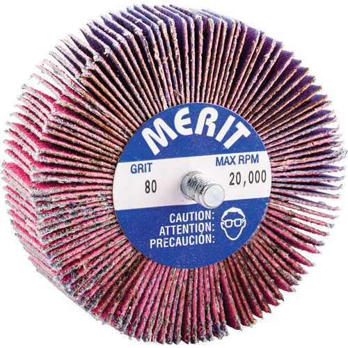 Mini-meule &agrave; lamelles filet&eacute;es, C&eacute;ramique d'alumine, Grain 80, 3" x 1" x 1/4"-20 Dufferin Supply