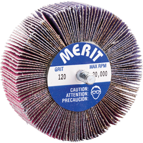 Mini-meule &agrave; lamelles filet&eacute;es, C&eacute;ramique d'alumine, Grain 120, 3" x 1" x 1/4"-20 Dufferin Supply