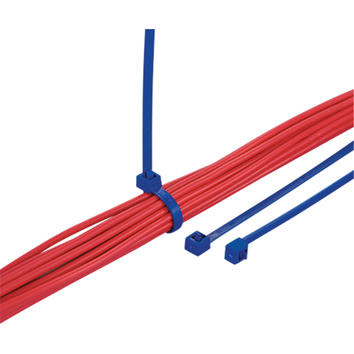 Metal Detectable Cable Ties, 15-2/5" L, 50 lbs. Tensile Strength Dufferin Supply