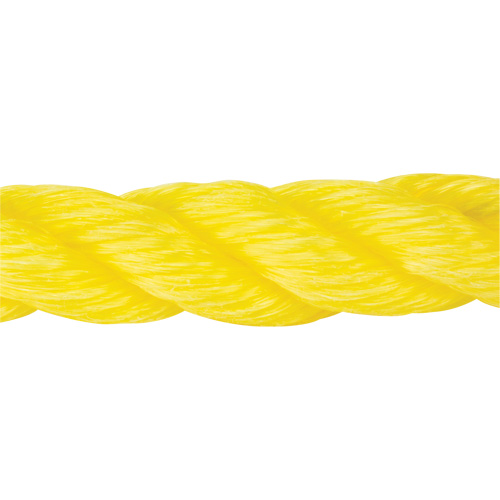 Corde jaune tress&eacute;e, Polypropyl&egrave;ne, 300' Dufferin Supply