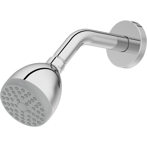 One-Function Showerhead Dufferin Supply