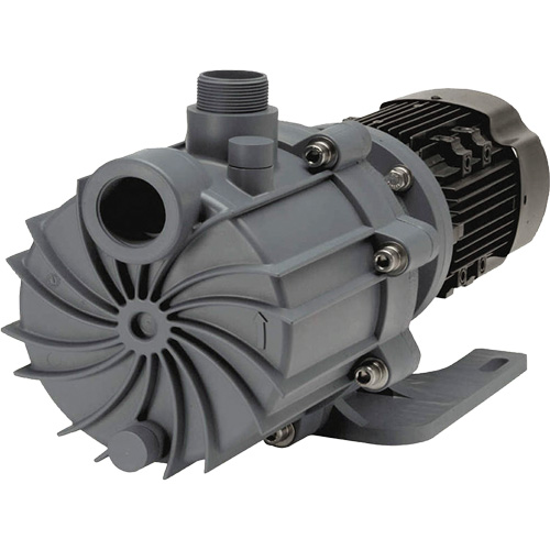 Self-Priming Magnetic Drive Pump with Carbon Bushing Dufferin Supply
