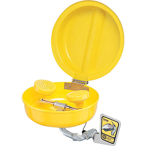 Eye/Face wash With Cover, Wall-Mount Installation, Plastic Bowl Dufferin Supply