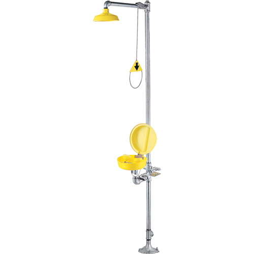 Combination Shower Eye/Face Wash With Cover Dufferin Supply