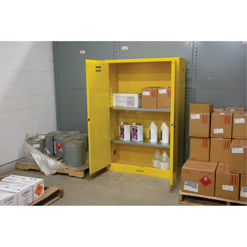 Armoire pour produits inflammables, 45 gal., 2 Porte(s), 43" La x 65" h x 18" p Dufferin Supply