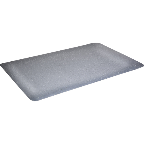 Tapis antimicrobiens WD Foodmaster, Lisse, 3' x 4' x 9/16", Gris, Mousse de vinyle Dufferin Supply