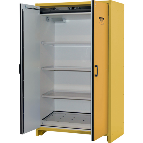 Armoire d'entreposage 30 minutes s&eacute;curitaire et conforme &agrave; la norme EN, 45 gal., 2 Porte(s), 45,83" La x 76,65" h x 24,21" p Dufferin Supply