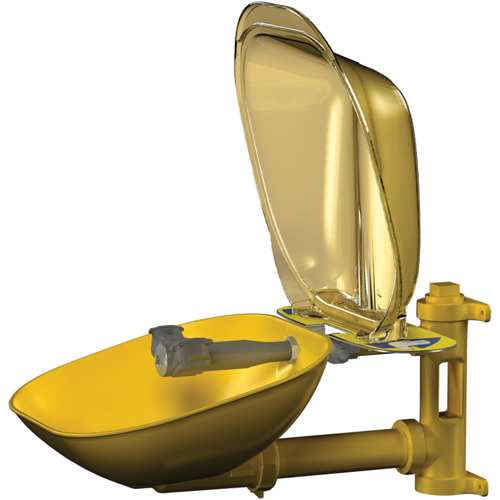 Poste de douche oculaire Halo, Installation Montage mural, Bol Plastique Dufferin Supply