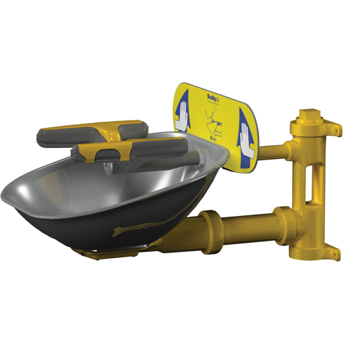 Postes de douche oculaire/faciale Halo, Installation Montage mural, Bol Acier inoxydable Dufferin Supply