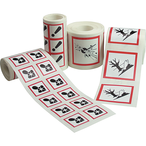 GHS Pictogram Labels, Vinyl, Roll, 4" L x 4" W Dufferin Supply