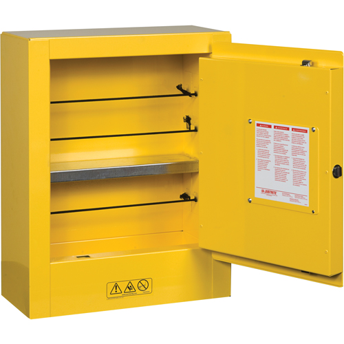 Sure-Grip&reg; EX Mini Flammable Safety Cabinet, 2 Gal., 1 Door, 17" W x 22" H x 8" D Dufferin Supply