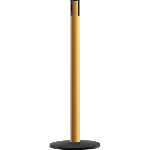 Syst&egrave;me Advance TensaBarrier - Poteau r&eacute;cepteur, Hauteur de 36", Jaune Dufferin Supply