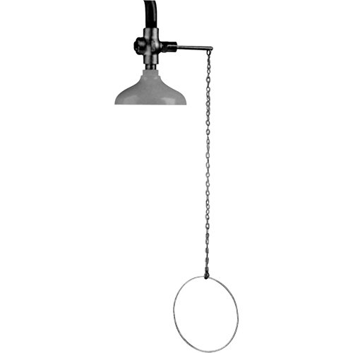 Lifesaver&reg; Emergency Overhead Showers, Ceiling-Mount Dufferin Supply