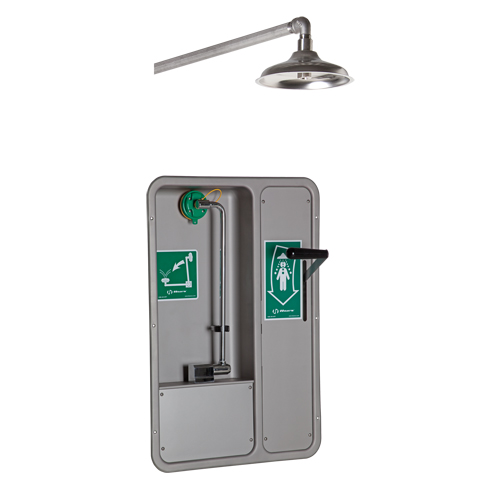 ADA Eye/Face Wash and Shower, Ceiling-Mount Dufferin Supply
