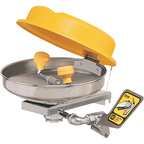 Eyewash Station, Wall-Mount Installation, Stainless Steel Bowl Dufferin Supply