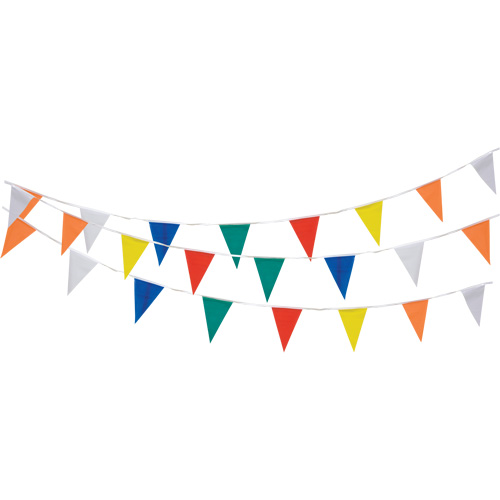 Pennant String, 60' L, Multicolour Dufferin Supply